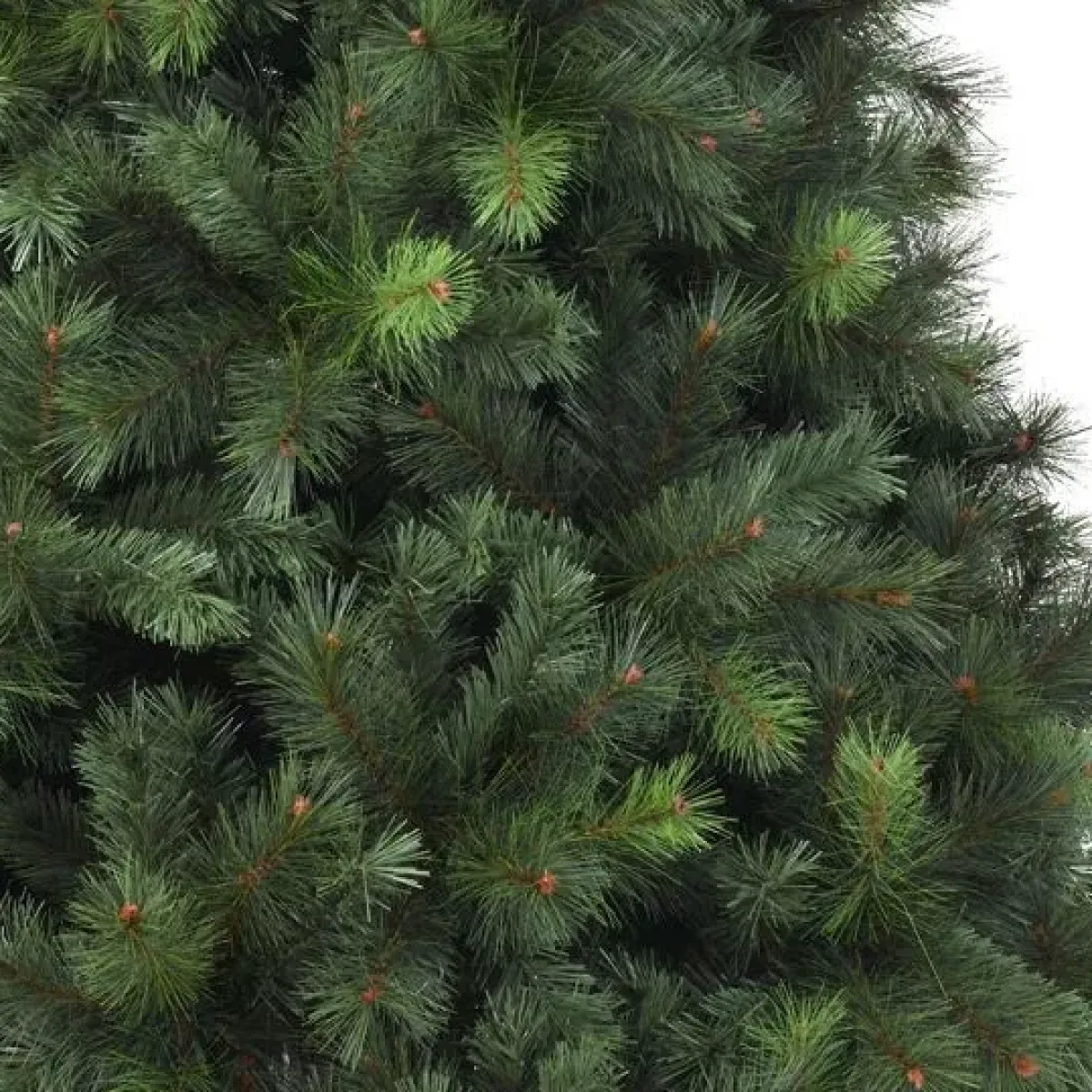 EMINZA Albero Di Natale Artificiale|Alberi Di Natale Grande Dimensione-Albero di Natale artificiale Edmonton Alt. 210 cm Verde abete