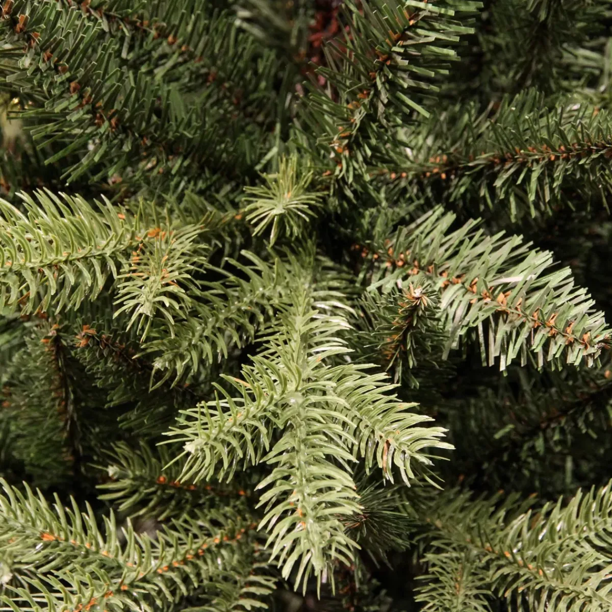 EMINZA Albero Di Natale Artificiale|Alberi Di Natale Grande Dimensione-Albero di Natale artificiale Allix Alt. 210 cm Verde abete