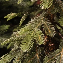 EMINZA Albero Di Natale Artificiale|Alberi Di Natale Grande Dimensione-Albero di Natale artificiale (H300 cm) Sierra Verde