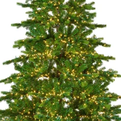 EMINZA Albero Di Natale Artificiale|Alberi Di Natale Grande Dimensione-Albero di Natale artificiale luminoso 4000 LED (H210 cm) Caucasia Nordmann Verde abete