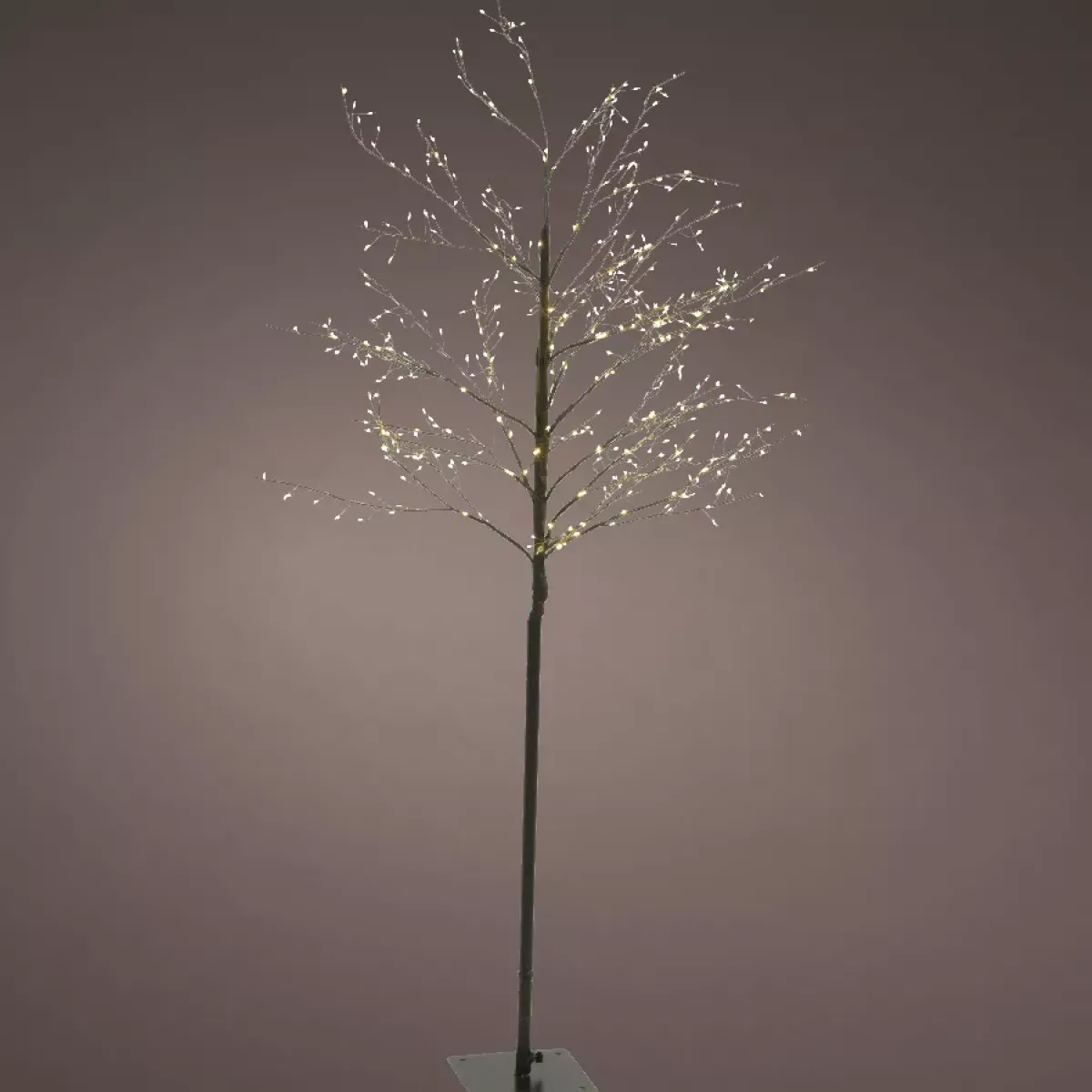 KAEMINGK Alberi Luminosi-Albero luminoso 720 LED (H180 cm) Holly Platano e bianco caldo