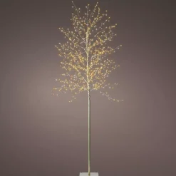 KAEMINGK Alberi Luminosi-Albero luminoso 720 LED (H180 cm) Holly Platano e caldo