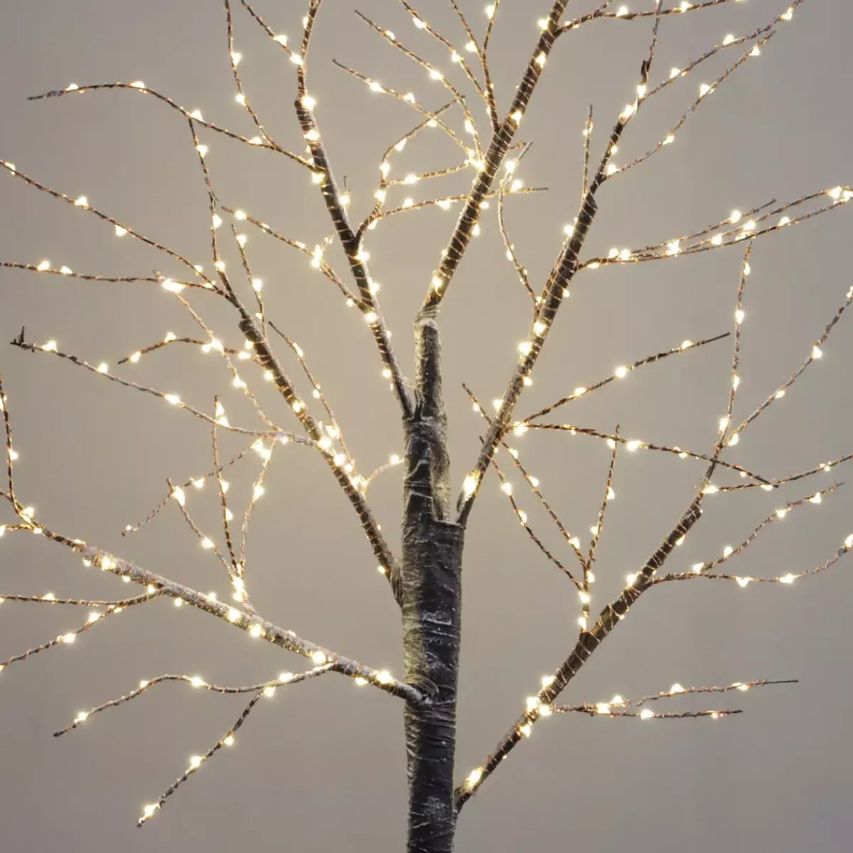 KAEMINGK Alberi Luminosi-Betulla luminosa Cayden Micro LED Alt.100 cm