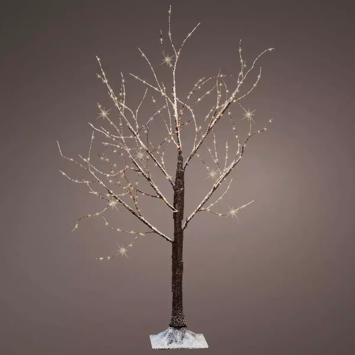 KAEMINGK Alberi Luminosi-Betulla luminosa Cayden Micro LED Alt.100 cm