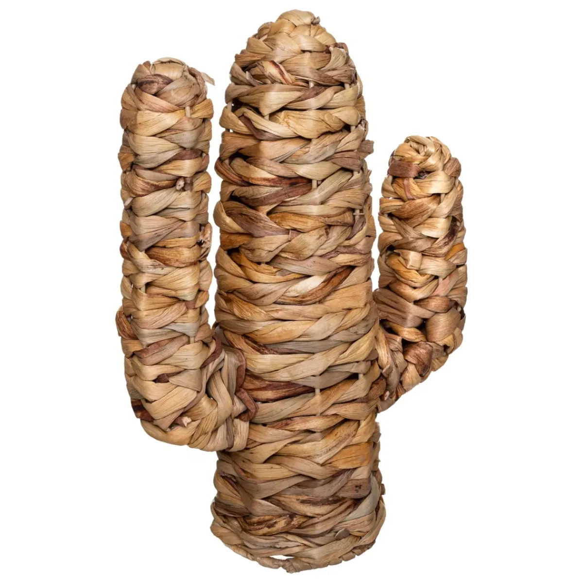 ATMOSPHERA Elementi Decorativi-Cactus deco (35 cm) Haci