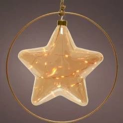 KAEMINGK Decorazioni E Oggetti Natalizi|Oggetti Decorativi E Illuminati-Decorazione da appendere luminosa a pile 15 LED (D26 cm) Stella Invernale /bianco caldo