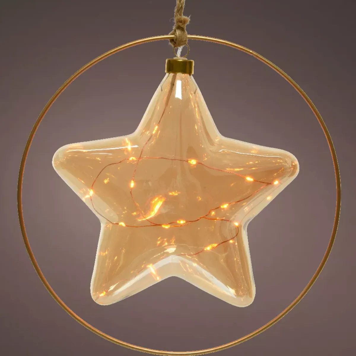 KAEMINGK Decorazioni E Oggetti Natalizi|Oggetti Decorativi E Illuminati-Decorazione da appendere luminosa a pile 15 LED (D26 cm) Stella Invernale /bianco caldo