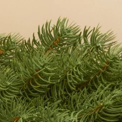 EMINZA Ghirlanda In Abete Artificiale|Alberi Di Natale Grande Dimensione-Ghirlanda di abete (180 cm - D25) Utah Luxe Verde