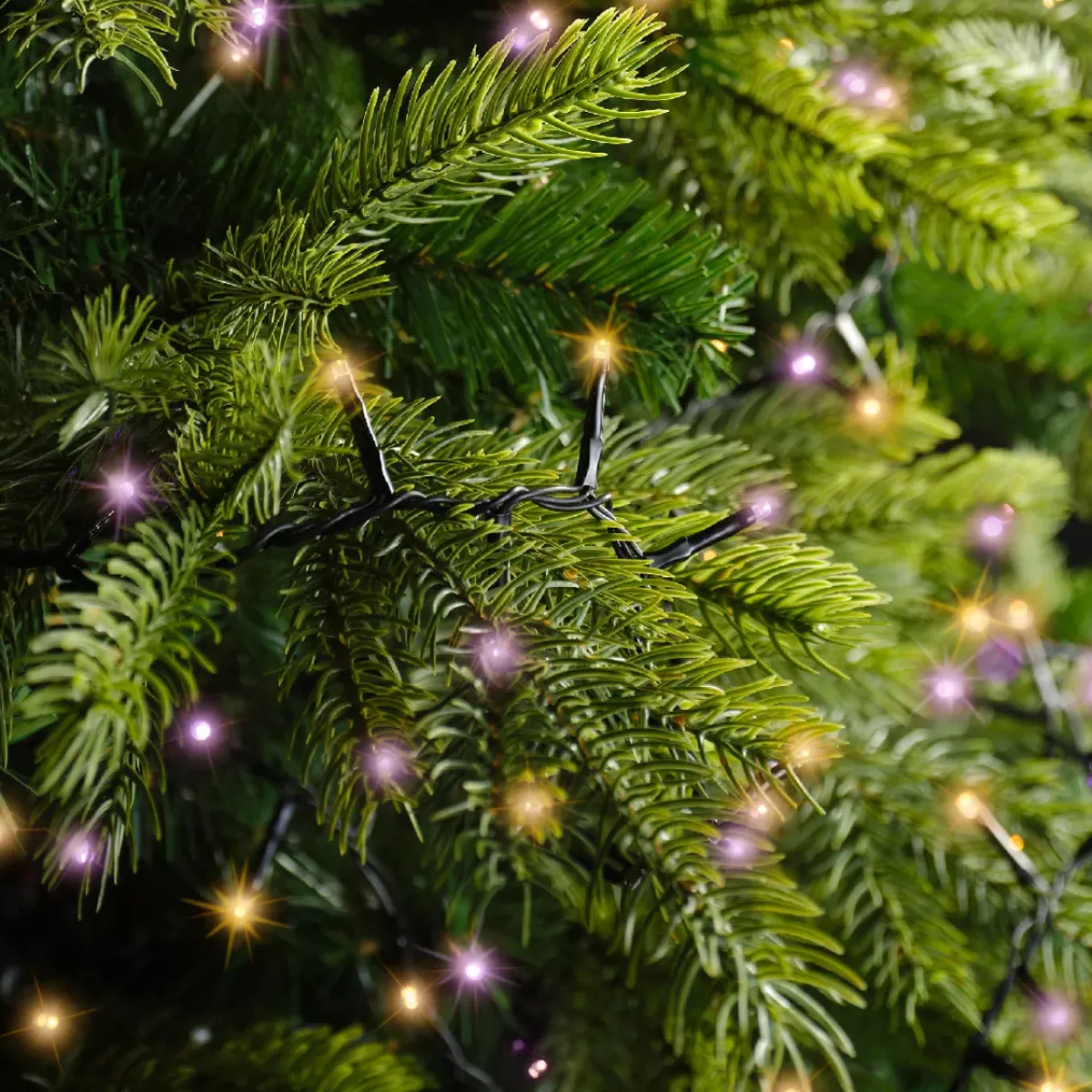 KAEMINGK Ghirlande Di Luci-Ghirlanda di luci 11 m 500 LED cavo nero NewLuxe Bicolore Arancione/viola