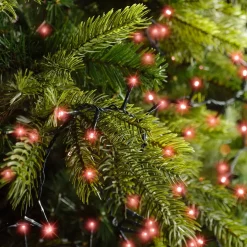 EMINZA Guilande Di Luci Grande Lunghezza|Ghirlande Di Luci-Ghirlanda di luci 22,5 m 1000 LED cavo verde NewLuxe Rosso