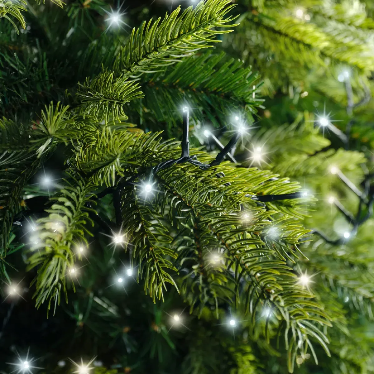 EMINZA Guilande Di Luci Grande Lunghezza|Ghirlande Di Luci-Ghirlanda di luci 22,5 m 1000 LED cavo verde NewLuxe Bicolore Bianco caldo/freddo