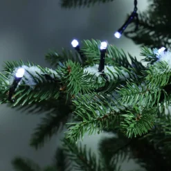 KAEMINGK Ghirlande Di Luci-Ghirlanda luminosa Durawise 1,70 m Bianco freddo 24 LED CN