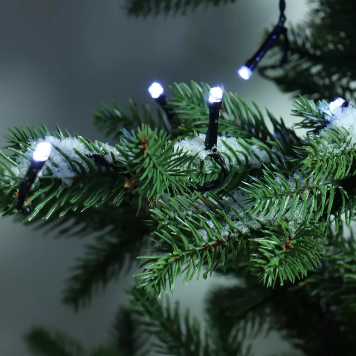 KAEMINGK Ghirlande Di Luci-Ghirlanda luminosa Durawise 2 m 192 LED Grappe CN