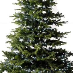 KAEMINGK Ghirlande Di Luci-Ghirlanda luminosa Lusso 16 m Bianco freddo 750 LED CB