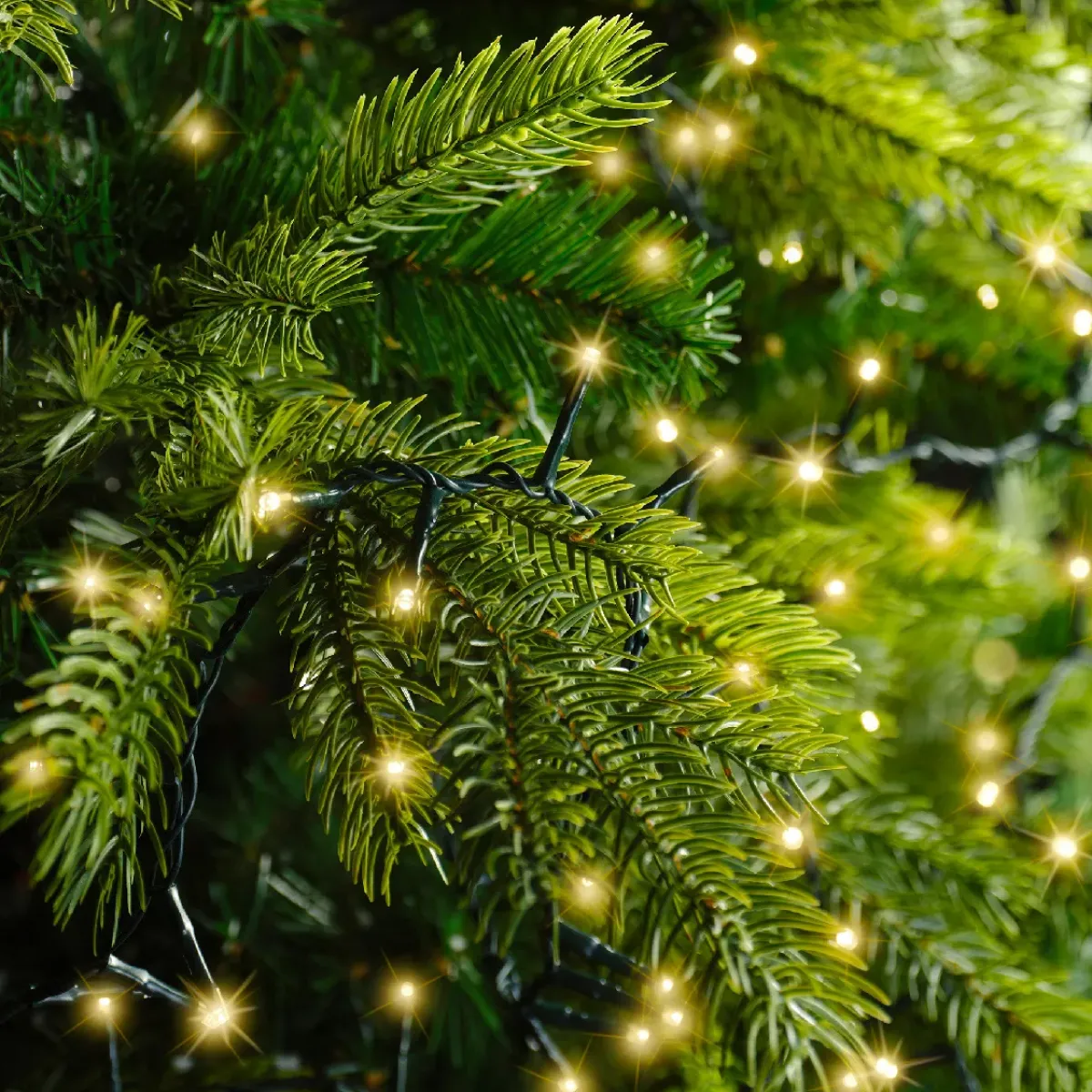 EMINZA Guilande Di Luci Grande Lunghezza|Ghirlande Di Luci-Ghirlanda luminosa 45 m 2000 LED cavo verde Luxe Bianco caldo Champagne
