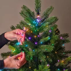 KAEMINGK Ghirlande Di Luci-Ghirlanda tenda per albero 2,10m 672 Micro LED cavo verde Multicolore pastello