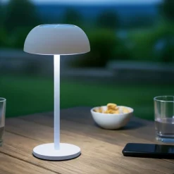KAEMINGK Luci Per Esterno-Lampada da tavolo solare 100 lumen (H33 cm) Malibu