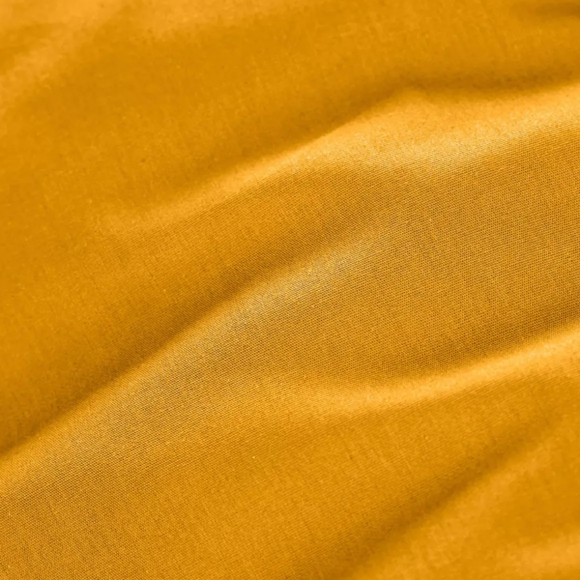 Lenzuolo con angoli percalle di cotone (160 cm) Cali Giallo senape