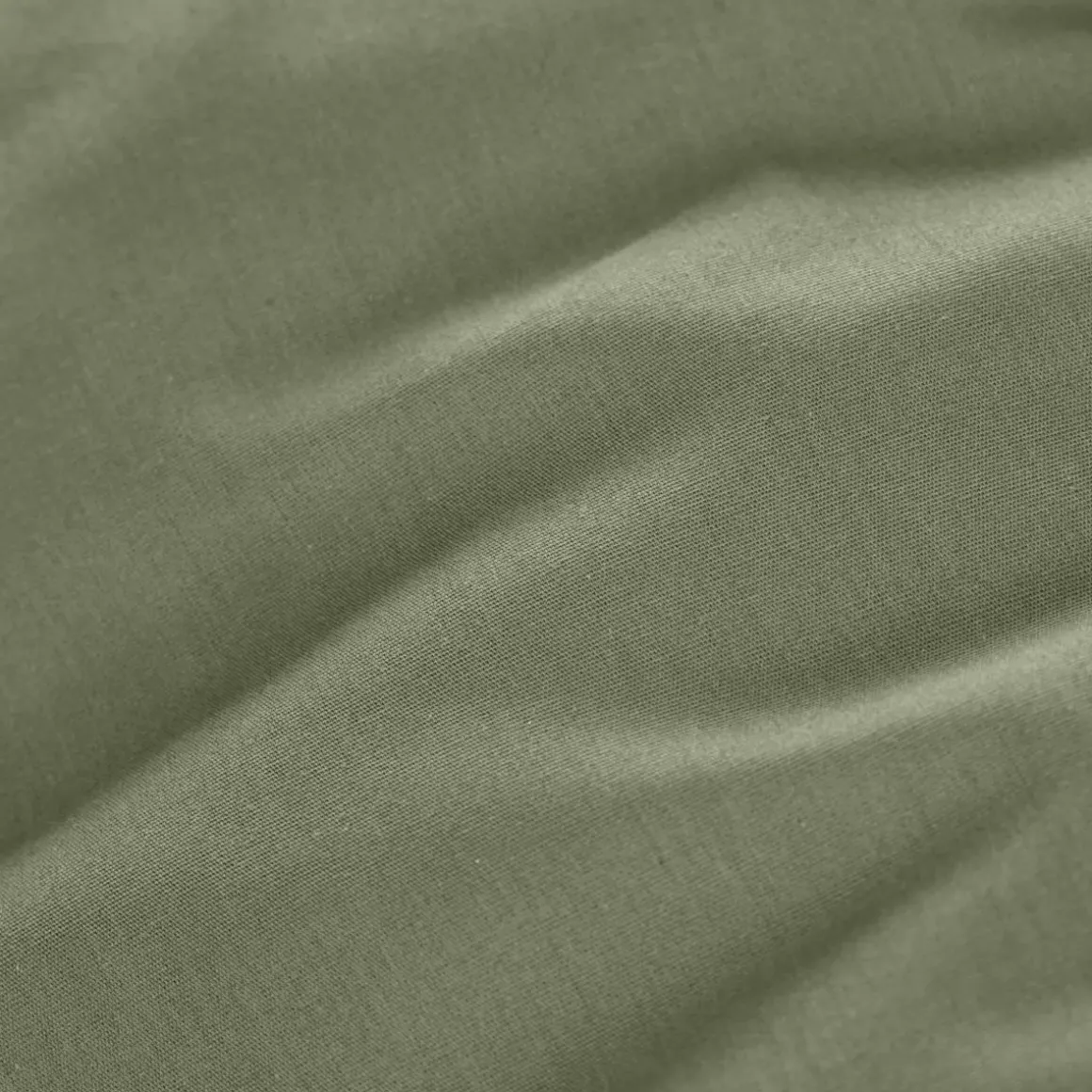 Lenzuolo con angoli percalle di cotone (180 cm) Cali Verde rosmarino