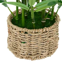 Atmosphera, cru017dateur d'intu017drieur Elementi Decorativi-Pianta artificiale in vaso intrecciato (H46 cm) Bambù Ly