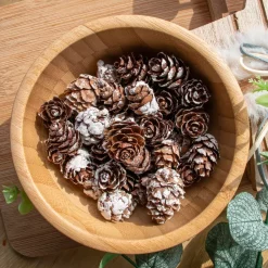 KAEMINGK Decorazione Da Tavola-Sacchetto di pigne (45 g)