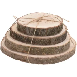 KOOPMAN Decorazione Da Tavola-Set di 4 tronchi decorativi Paulownia